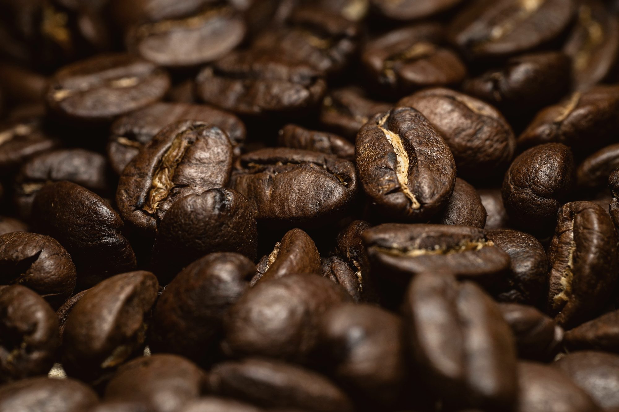 Macro of freshly roasted whole beans, oils just breaking at the surface