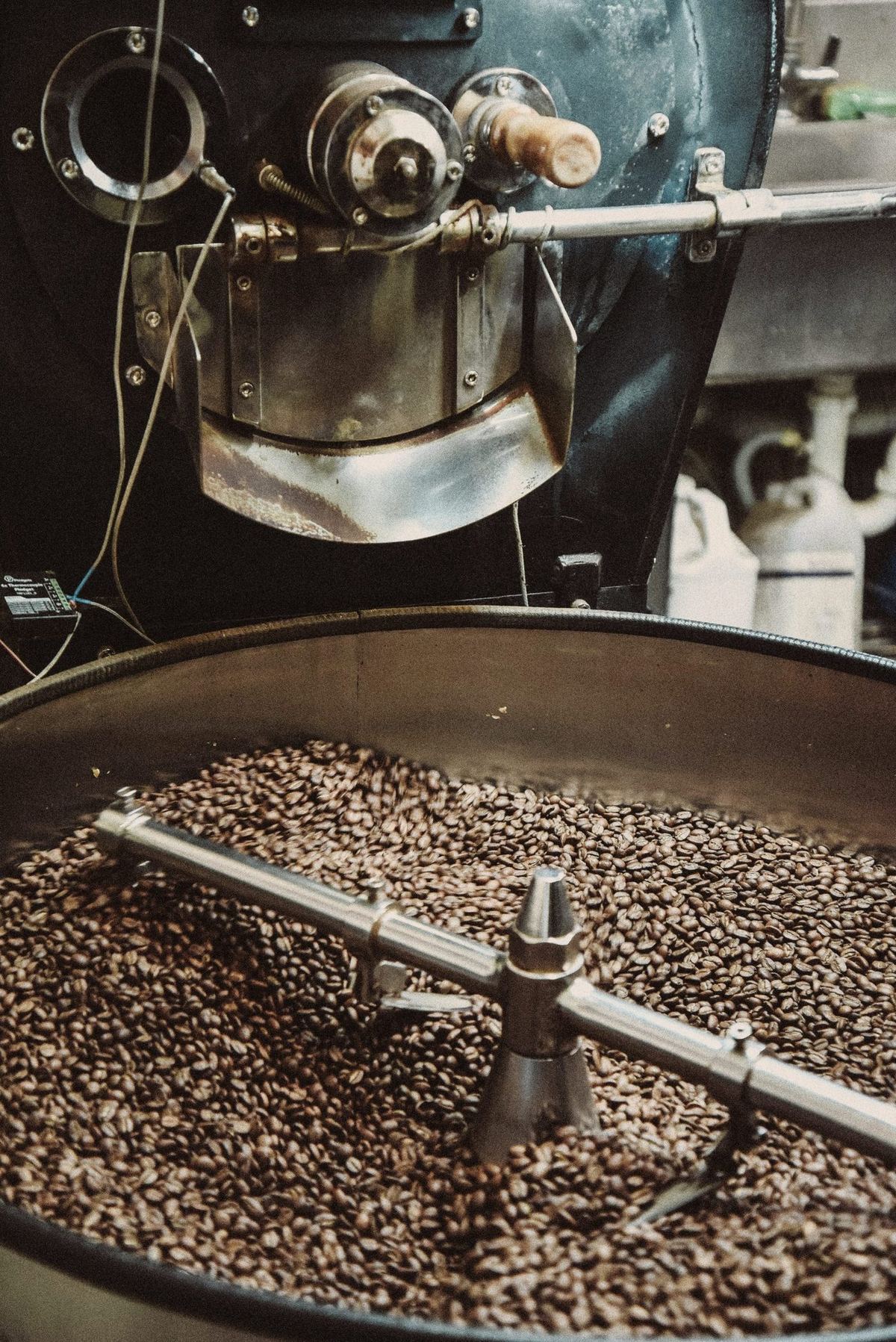 A batch of medium roast tumbling in the cooling bed of the 12-kilo Probat, the discharge chute above still warm